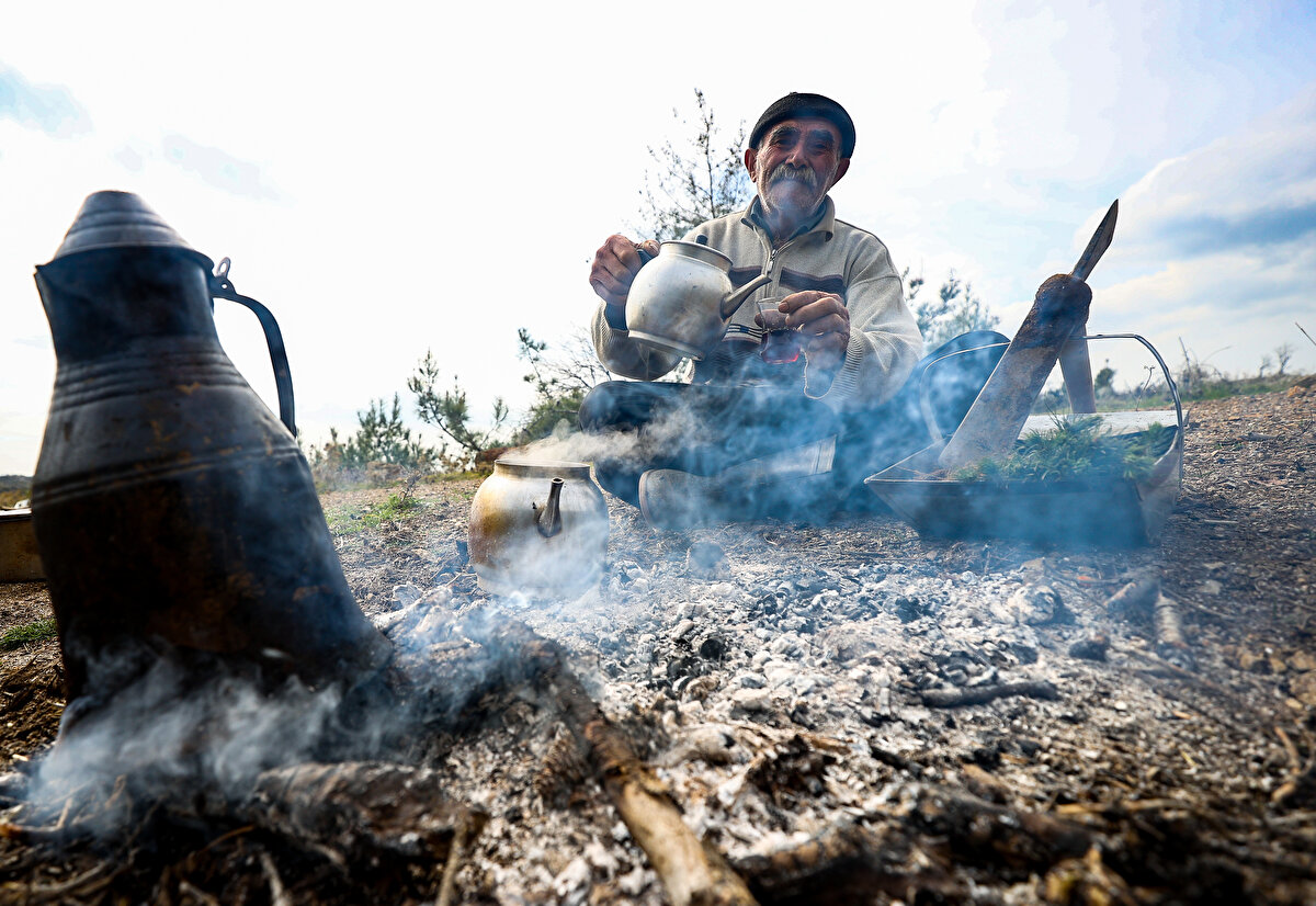 'Fidan dede' 35 yılda 550 bine yakın fidanı toprakla buluşturdu