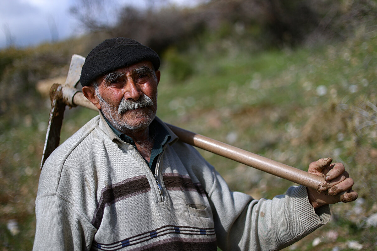 Kahramanmaraş'ın Kalekaya Mahallesi'nde 76 yıl önce dünyaya gelen Gümüş, çocukluğunda, evinin bahçesindeki fındık bahçesinde ağaç sevgisi edindi.<br><br>