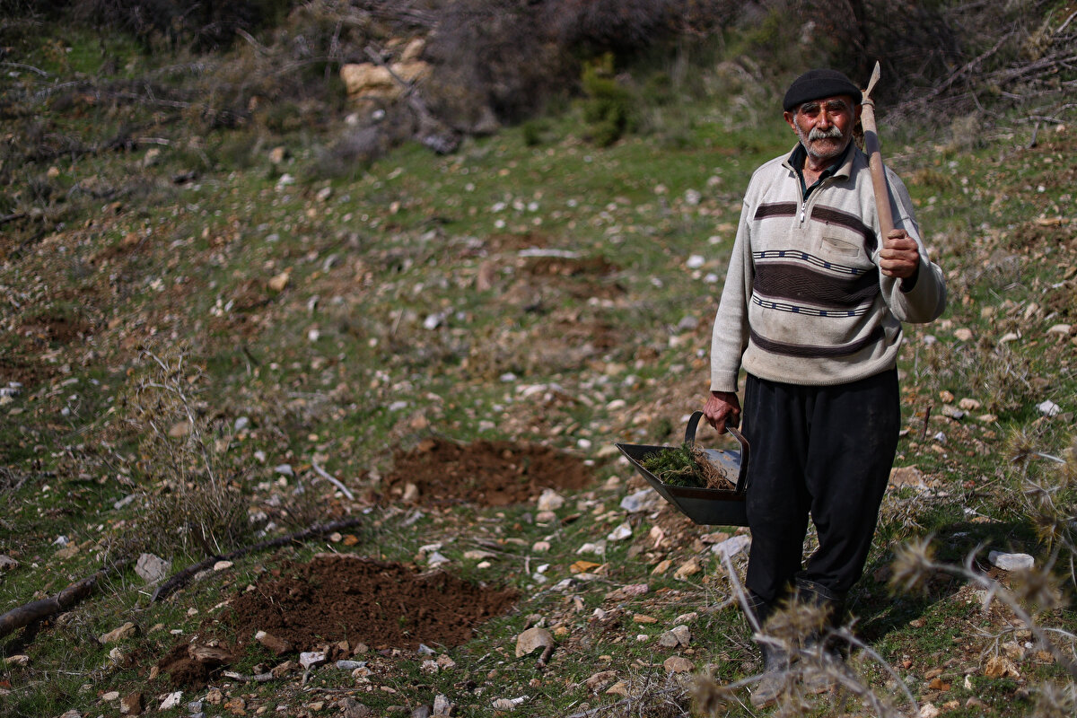 'Fidan dede' 35 yılda 550 bine yakın fidanı toprakla buluşturdu