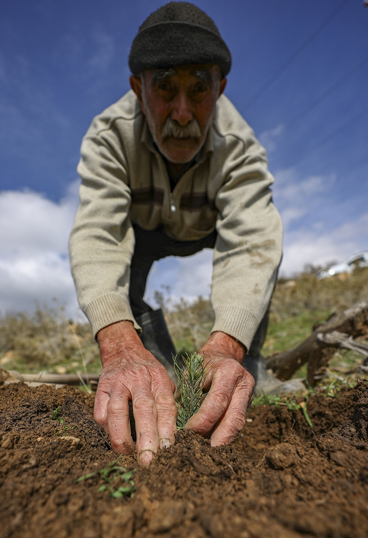 'Fidan dede' 35 yılda 550 bine yakın fidanı toprakla buluşturdu