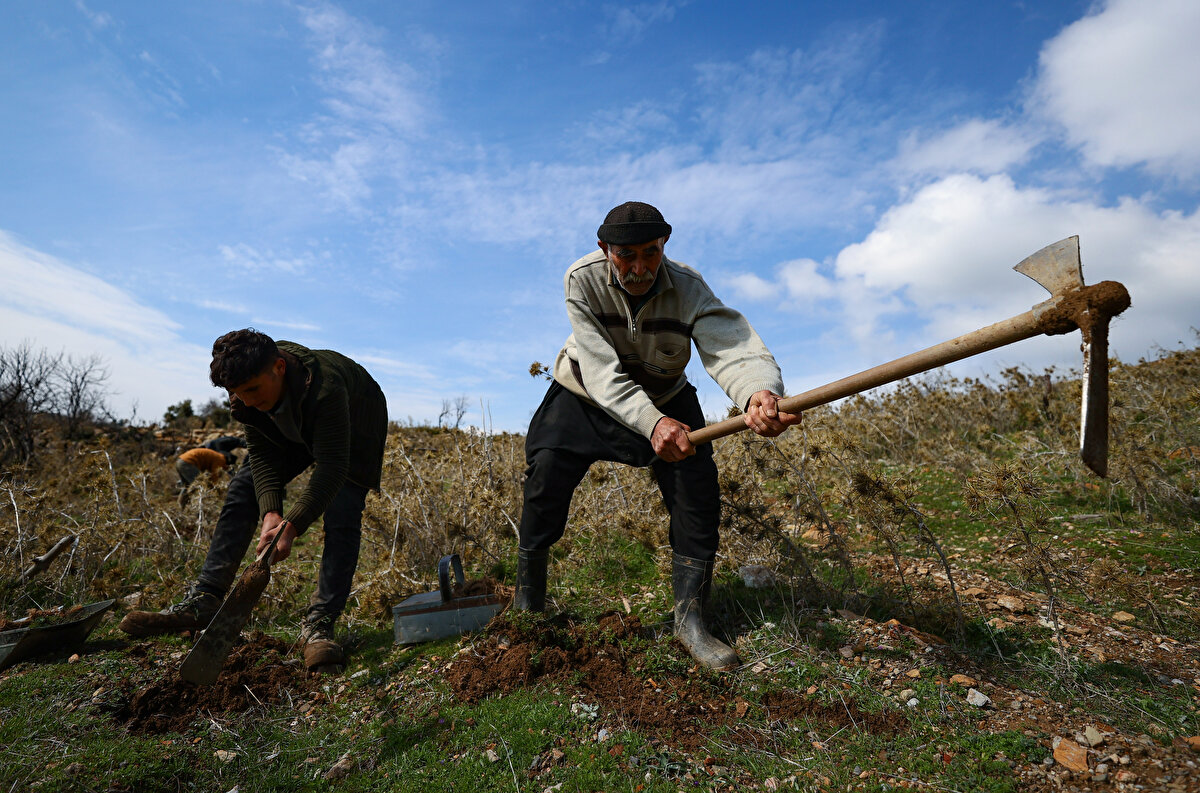 "Beraber çalıştığımız gençler 'amca hasta olursun, yorulursun' diyorlar ama 'yaparım' diyorum. Ağaçları çok seviyorum, her yer yeşil olsun istiyorum. Ağaçların büyümesinden neşe alıyorum. Yeşilliği görünce açılıyorum. Dağlar orman yeşili olduğunda mutlu oluyorum. Bir yer yansa üzülürüm. Orayı yeniden yeşil hale getirmeye çalışıyorum. Fidan dikimini elimden geldikçe, ölene kadar sürdürmek istiyorum.”<br><br>