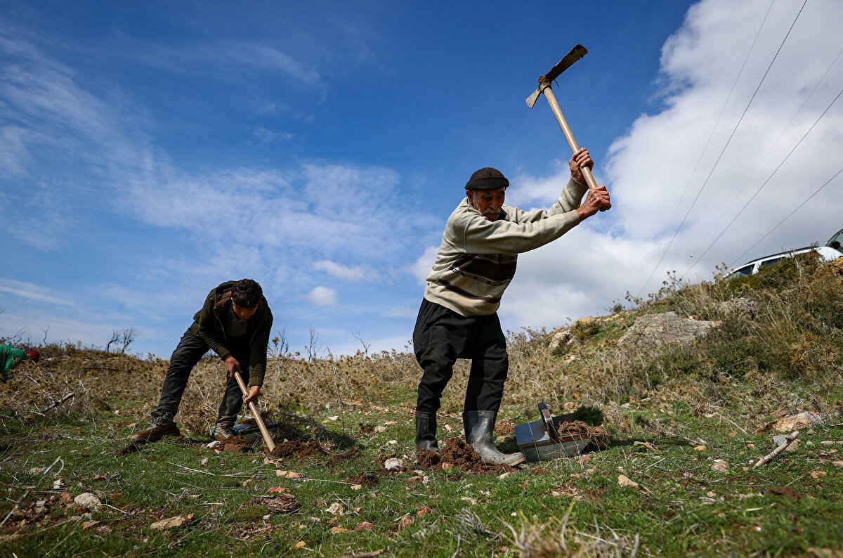 Osmaniye'nin Bahçe ilçesinde yaklaşık 30 yıl önce diktiği fidanları görmeye gittiğini, o ağaçların büyük bir ormana dönüştüğünü görünce gurur duyduğunu anlatan Gümüş, şöyle konuştu:<br><br>