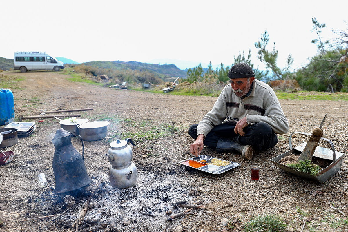 'Fidan dede' 35 yılda 550 bine yakın fidanı toprakla buluşturdu