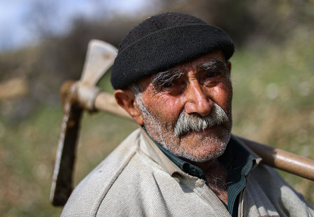 Mevsimlik orman işçileri, ağaçlandırma sahasına, iş makinelerince toprağın dikime hazırlanmasının ardından giriyor. Aralık ve mart ayları arasında fidan dikimi yapan işçiler, daha sonra da çapa ve sürgün kontrolü gibi işlemleri gerçekleştirerek fidanların büyümesini sağlıyor.<br><br>