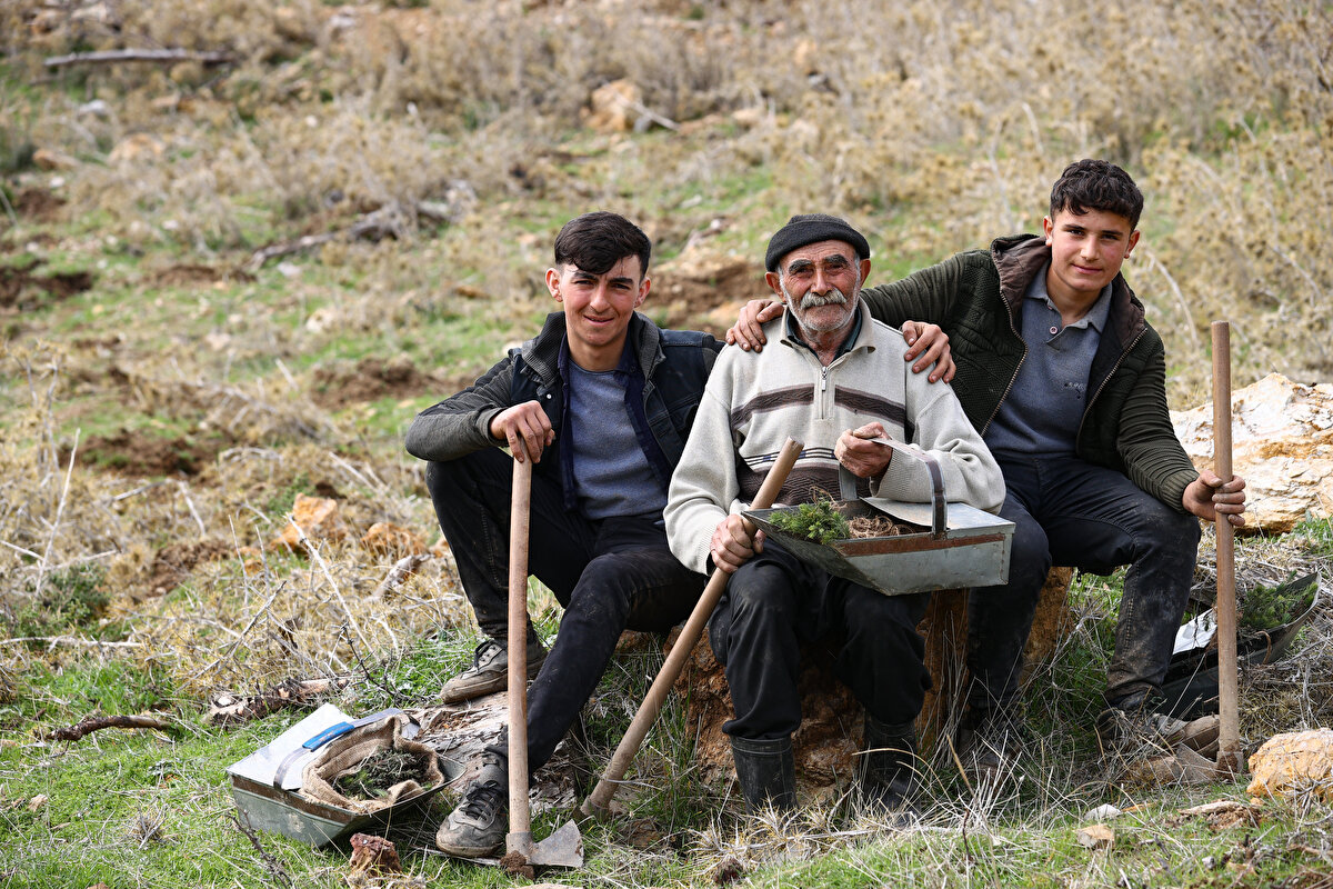 'Fidan dede' 35 yılda 550 bine yakın fidanı toprakla buluşturdu