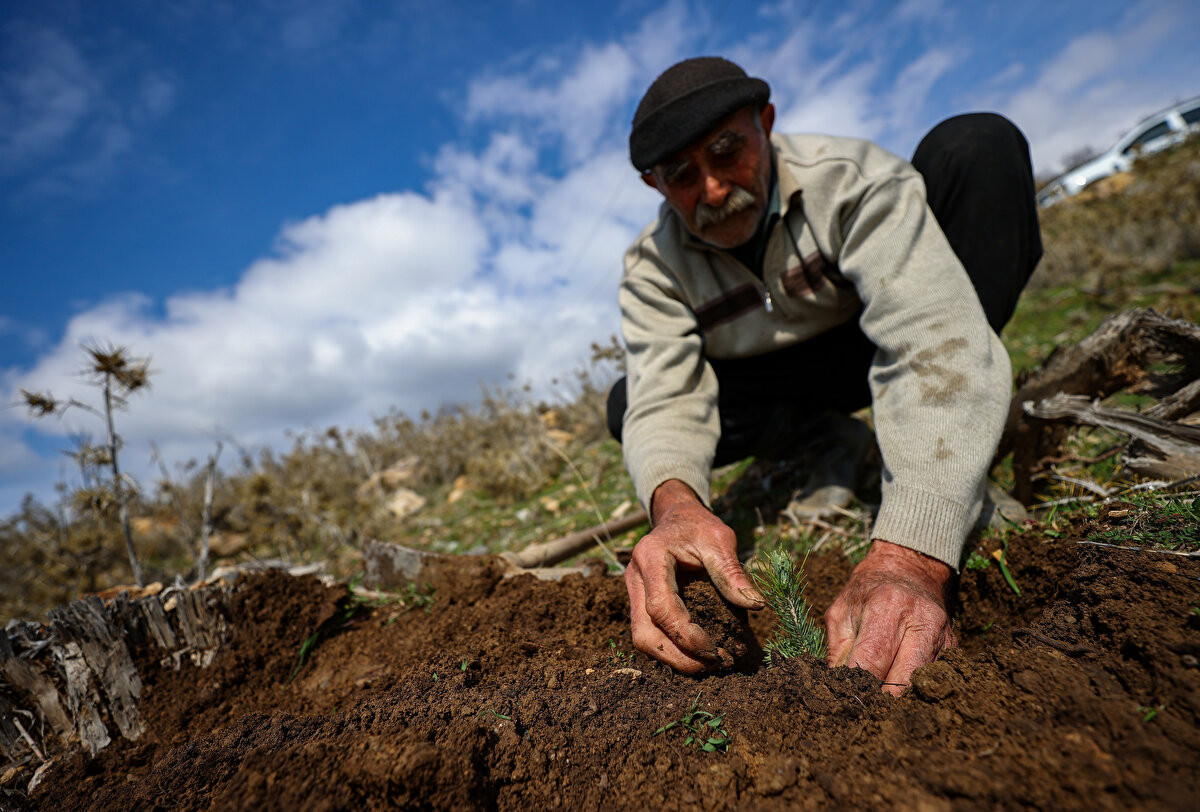 Gümüş, henüz çocuk yaşlarda, elleriyle diktiği ağaçların büyümesinin mutluluğunu tattı. Önce çiftçilikle geçimini sağlayan Gümüş, 41 yaşından sonra mevsimlik orman işçisi olarak çalışmaya başladı ve bu süreçte İzmir, Antalya, Adana, Hatay, Osmaniye, Bilecik, Afyon, Konya gibi illerde ağaçlandırma yaptı.<br><br>