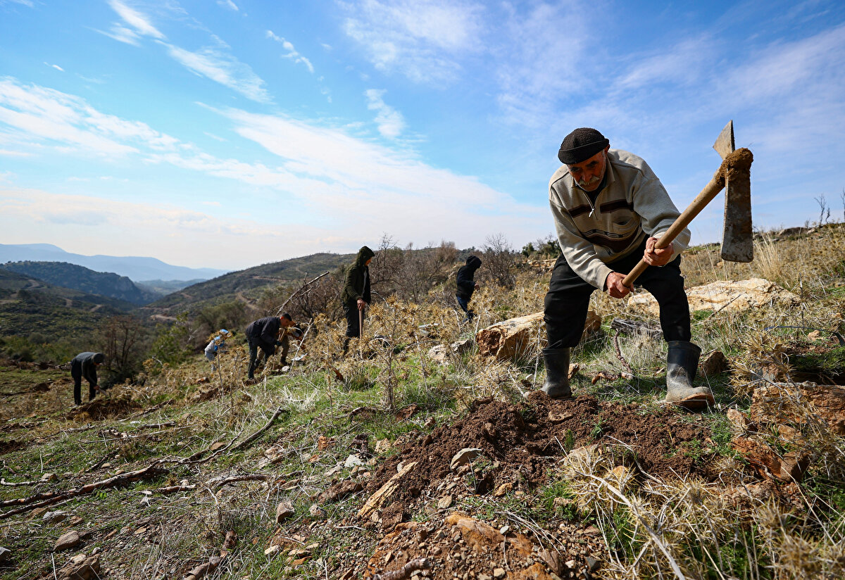 İşini severek yaptığını vurgulayan ağaç sevdalısı, "Severek yapıyorum, sevmeden yapılır mı bu kadar sene, benim için zorluğu yok." dedi.<br><br>