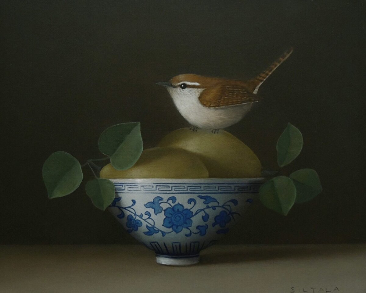 Still life with wren scaled