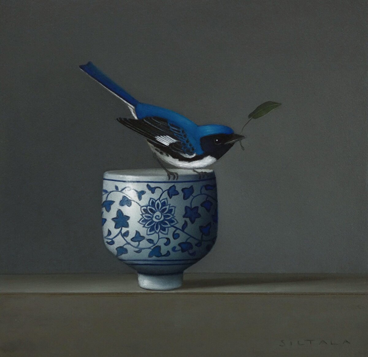Still life with Black Faced Blue Warbler scaled