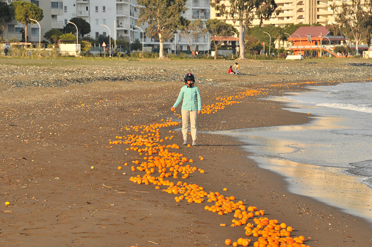 Turistler fotoğraf çektirdi. Çocukların ise bir köpeğe yakalaması için sürekli portakal atarak oyunlar oynaması dikkat çekti.