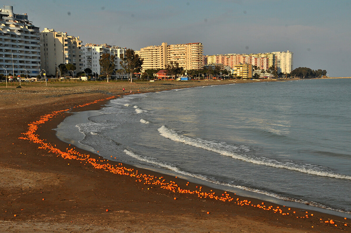 Dere ile denizin buluştuğu bölgede dalgalar portakalları kumsala taşıdı.