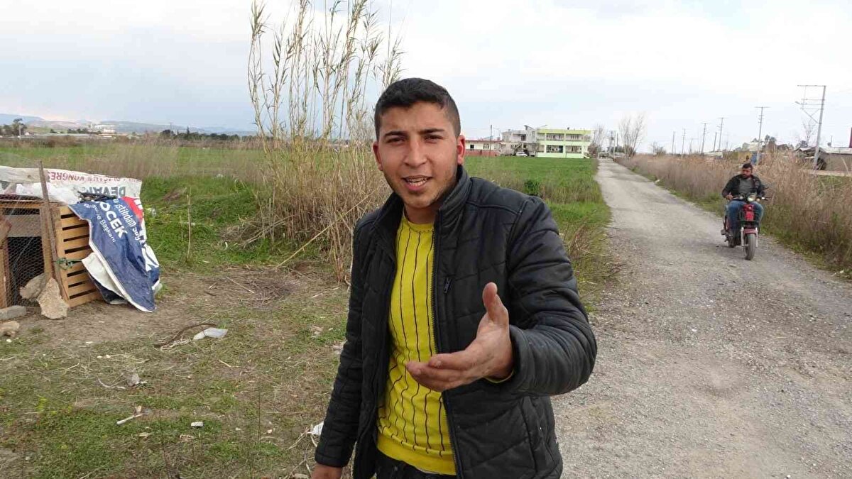 2 yıl önce tavuklarının 6'sı horoz olmak üzere çok sayıda yavrusu olduğunu belirten Ali Dibek “6 horozdan 5 tanesini kesip yedik. Horozları kesmemizin nedeni ötmemeleriydi. Bugün de eşimle birlikte bu horozu kesip yemeye karar verdik. 