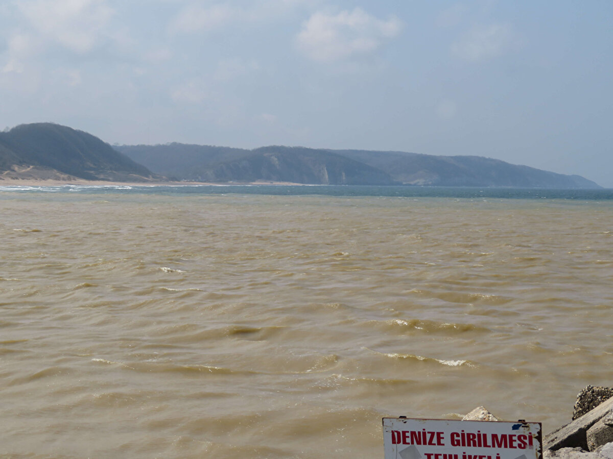 Sahile gelenler gördükleri manzara karşısında şaşkınlıklarını gizleyemedi.<br><br>