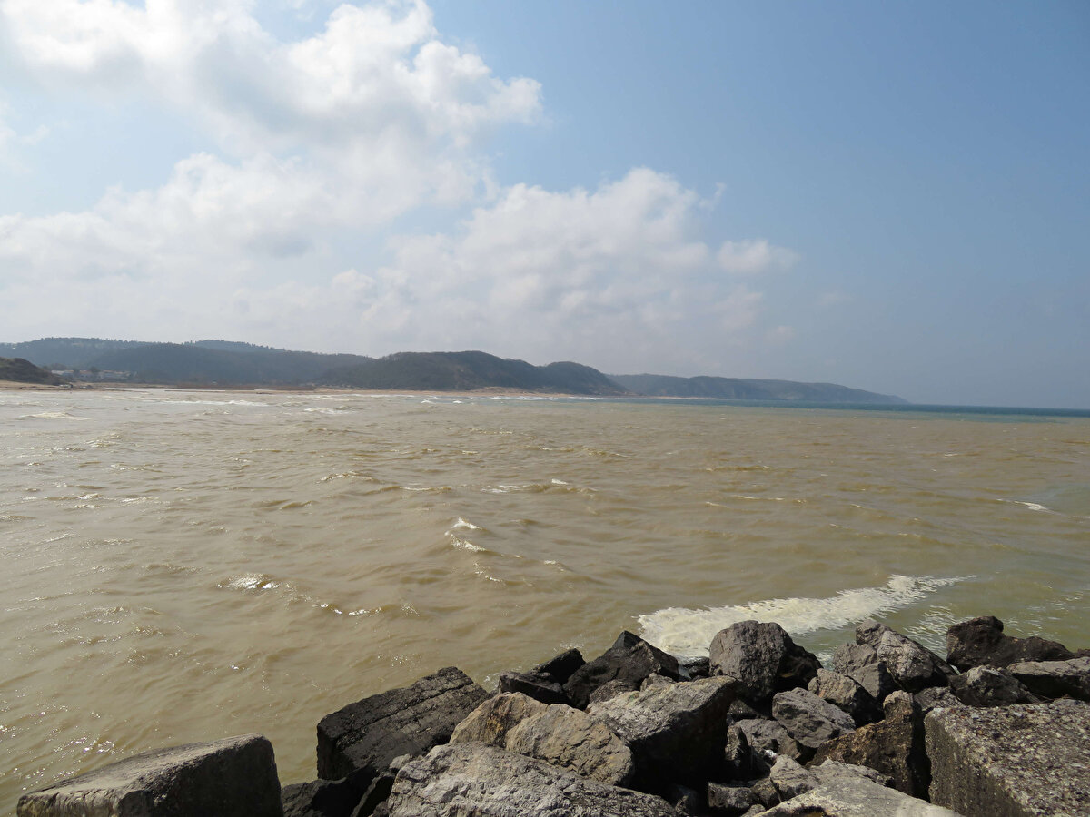 Ağva'da yaşayan Sümbül Yıldız ise "Rengi değişmiş. İki derenin birleşimi var burada. Zaman zaman böyle olabiliyor. Önceden de oluyordu. Şuradaki dere çamur gibi akan ve diğer dere birleşince denizi bulandırıyor." şeklinde konuştu.<br><br>