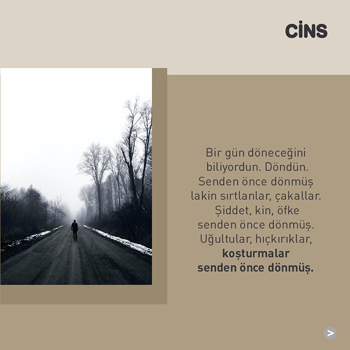 Bir gün döneceğini biliyordun. Döndün. Senden önce dönmüş lakin sırtlanlar, çakallar. Şiddet, kin, öfke senden önce dönmüş. Uğultular, hıçkırıklar, koşturmalar senden önce dönmüş.