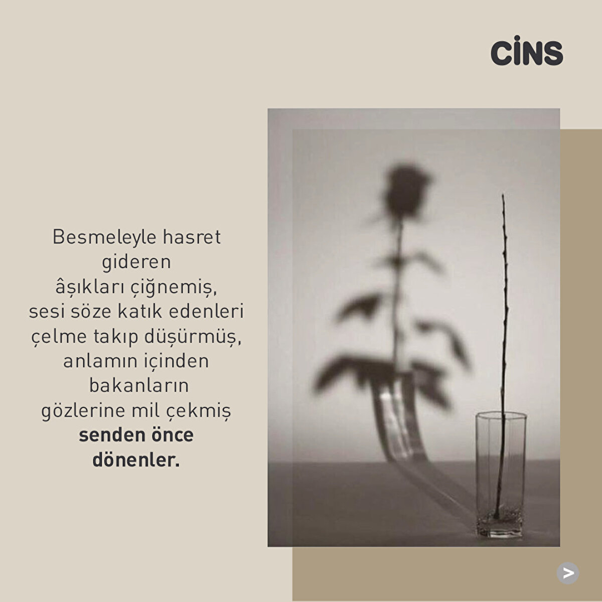 Besmeleyle hasret gideren âşıkları çiğnemiş, sesi söze katık edenleri çelme takıp düşürmüş, anlamın içinden bakanların gözlerine mil çekmiş senden önce dönenler.