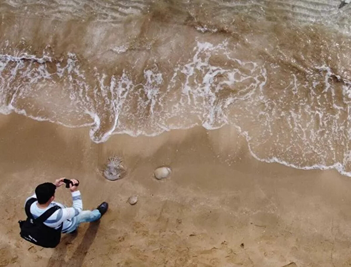 Deniz analarının geçiş sürecinin uzaması nedeniyle böyle bir durumun yaşandığı uzmanlar tarafından belirtilirken, Nisan ayı sonuna kadar benzer durumların yaşanabileceği kaydedildi.<br><br>