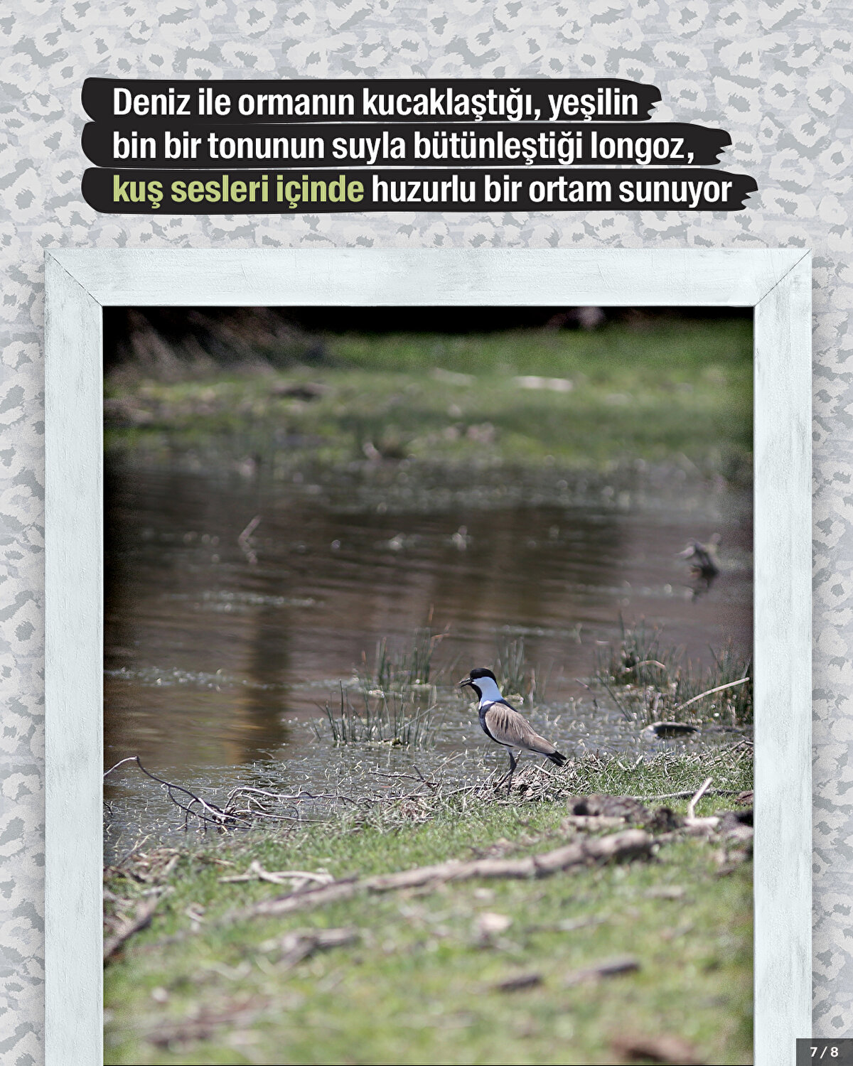 Deniz ile ormanın kucaklaştığı, yeşilin bin bir tonunun suyla bütünleştiği longoz, kuş sesleri içinde huzurlu bir ortam sunuyor.
