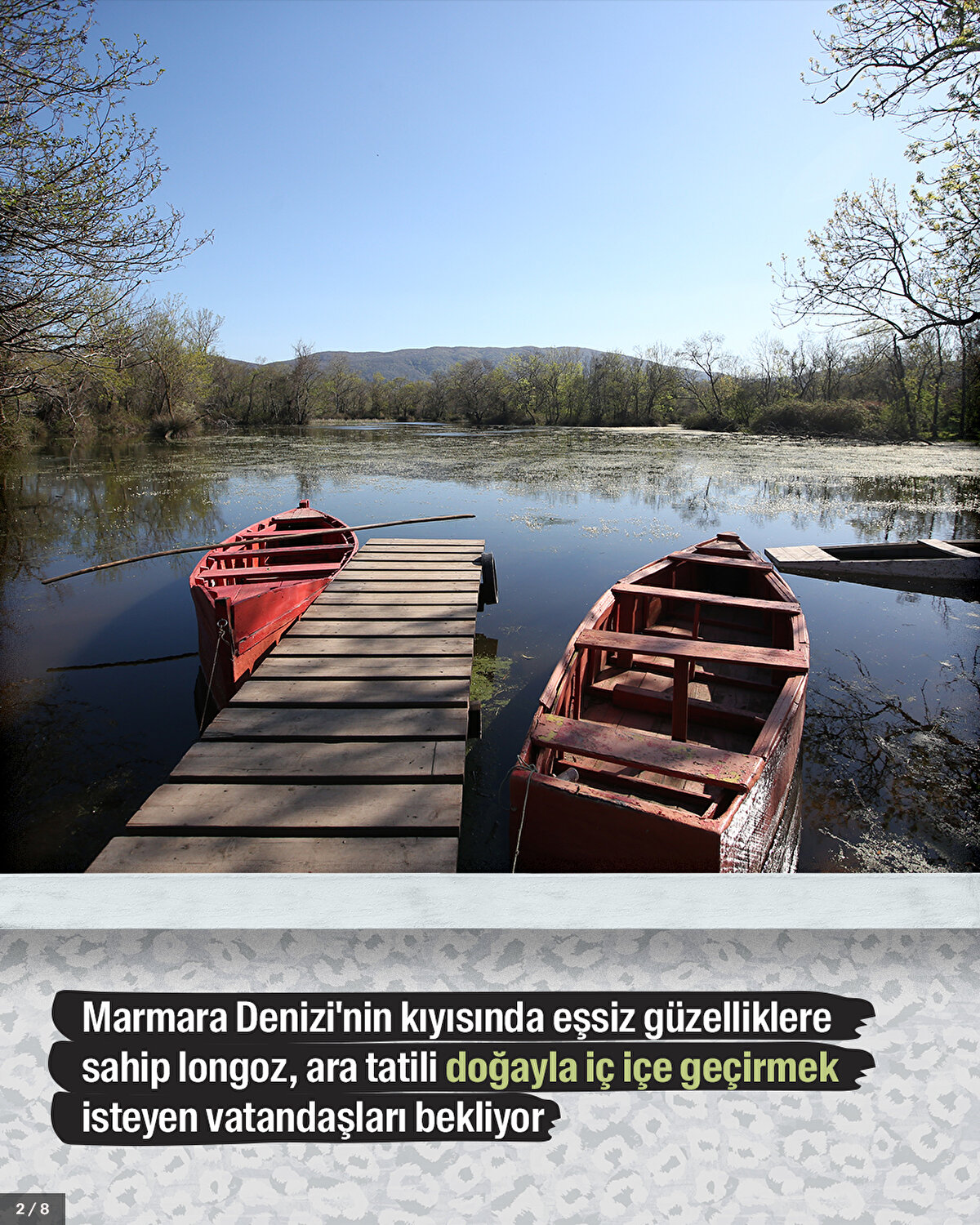 Marmara Denizi'nin kıyısında eşsiz güzelliklere sahip longoz, ara tatili doğayla iç içe geçirmek isteyen vatandaşları bekliyor.