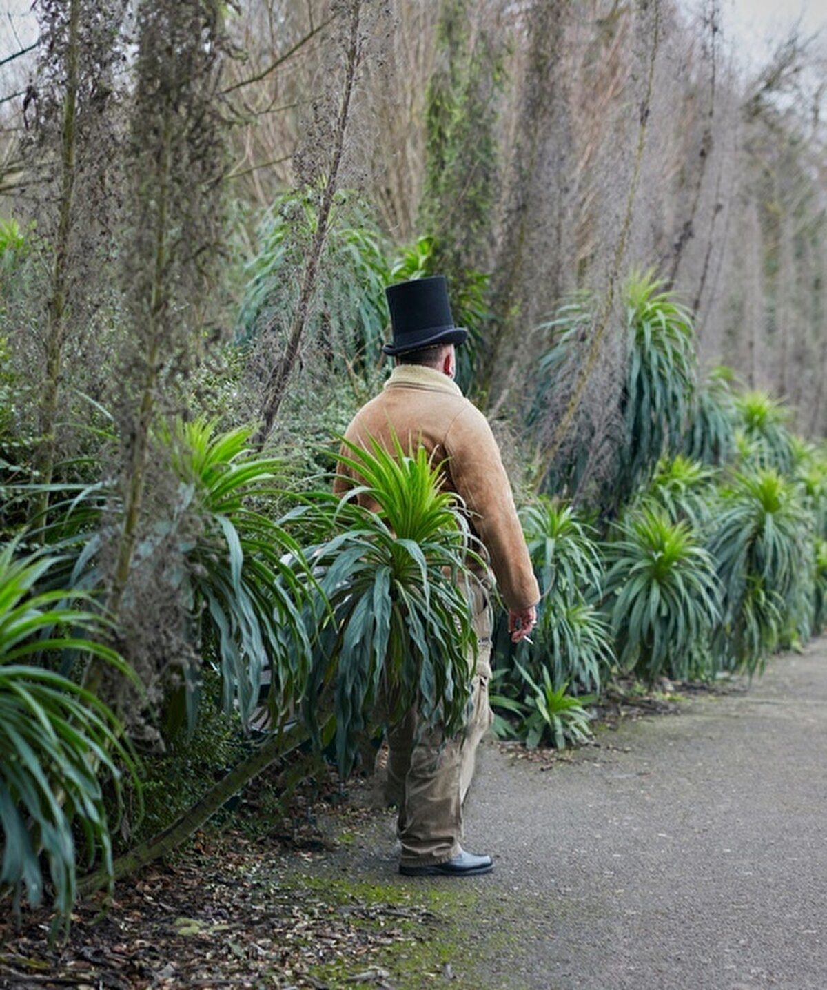  Hugh Foz - Portfolyo