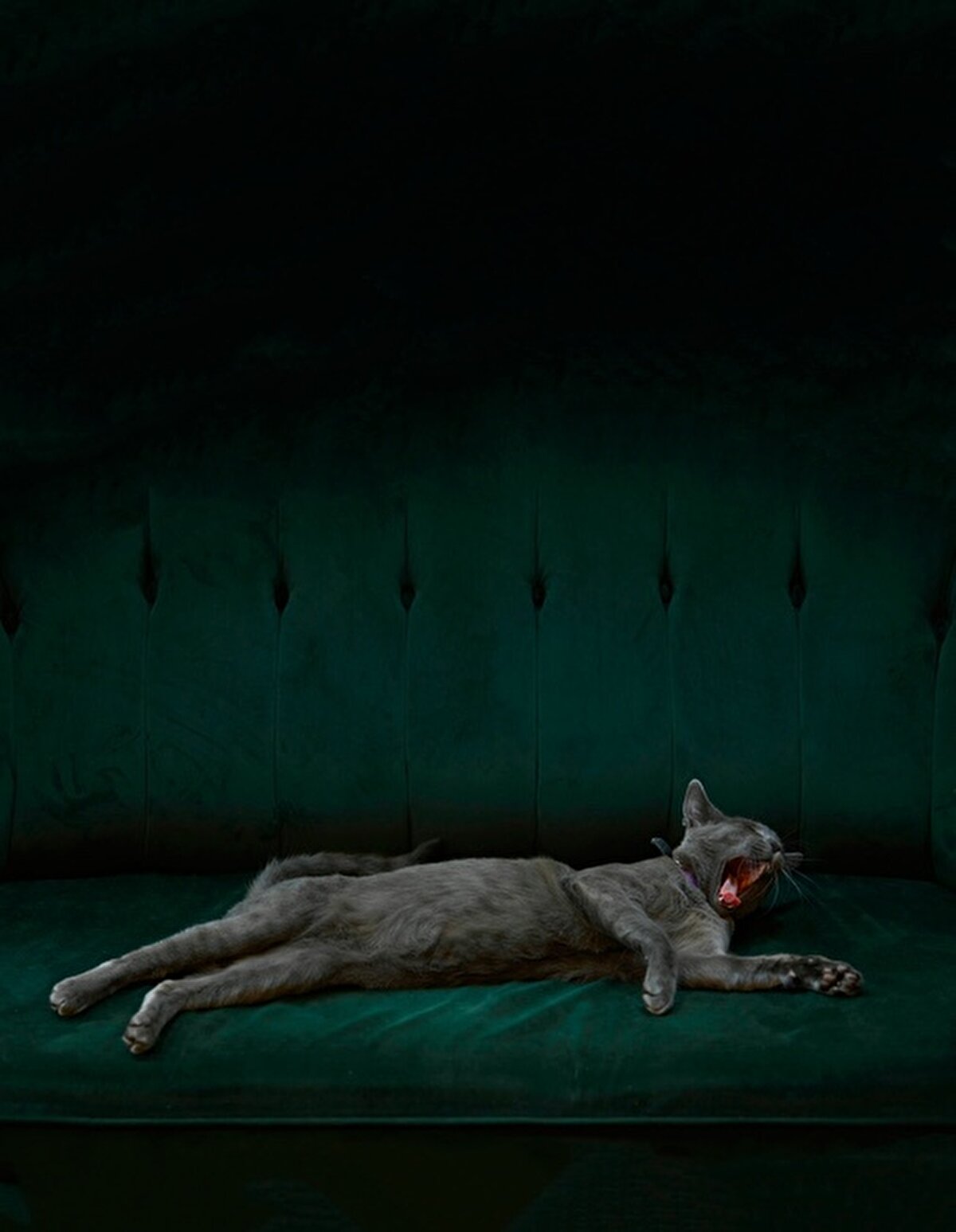  Hugh Foz - Portfolyo