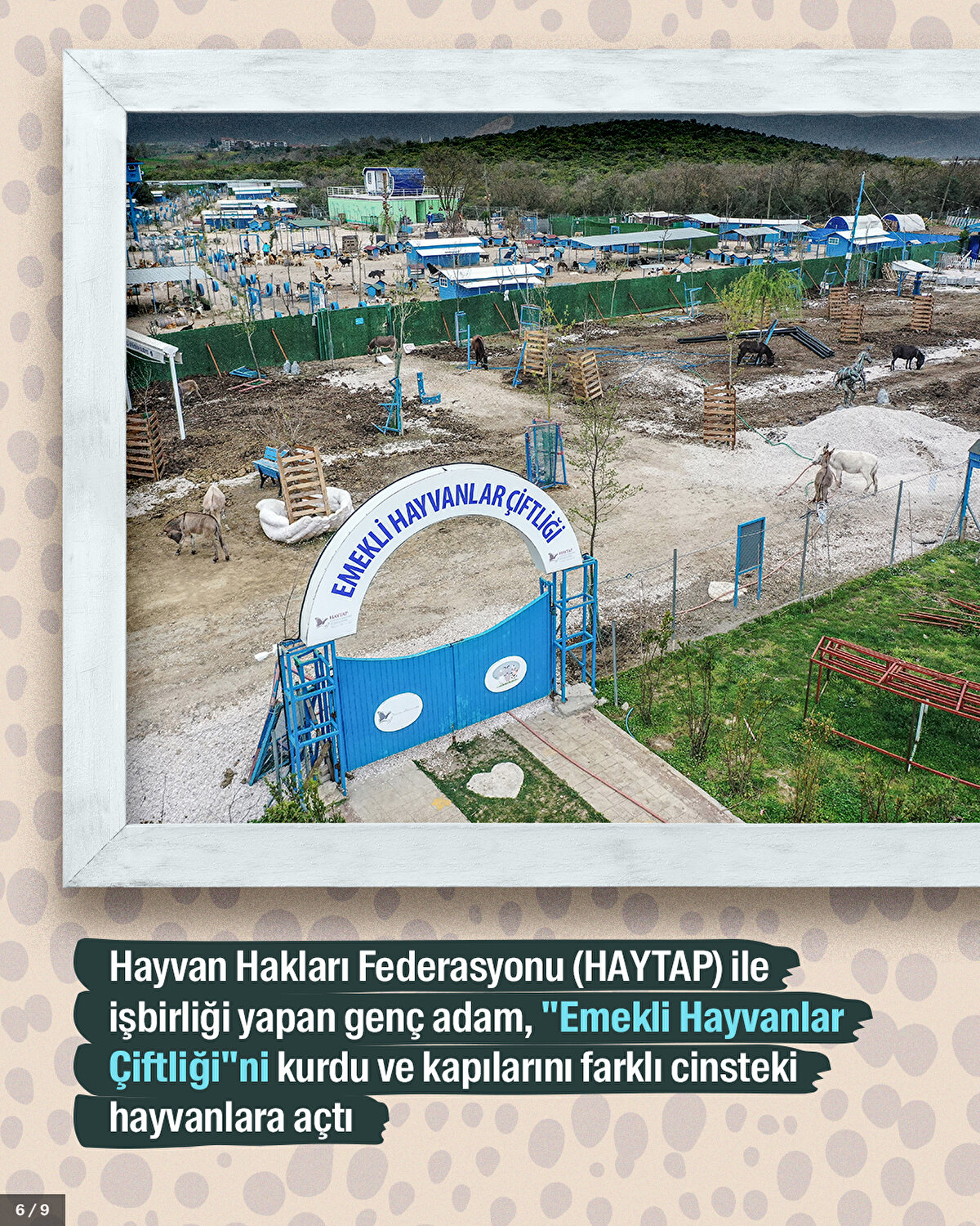Hayvan Hakları Federasyonu (HAYTAP) ile işbirliği yapan genç adam, "Emekli Hayvanlar Çiftliği"ni kurdu ve kapılarını farklı cinsteki hayvanlara açtı.