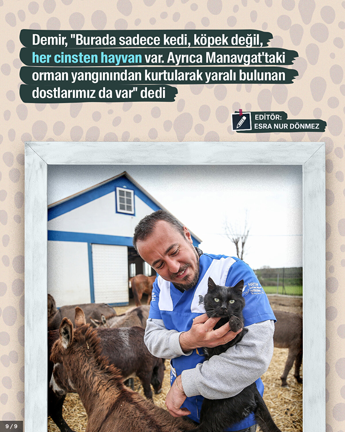 Demir, “Burada sadece kedi, köpek değil, her cinsten hayvan var. Ayrıca Manavgat'taki orman yangınından kurtularak yaralı bulunan dostlarımız da var" dedi.