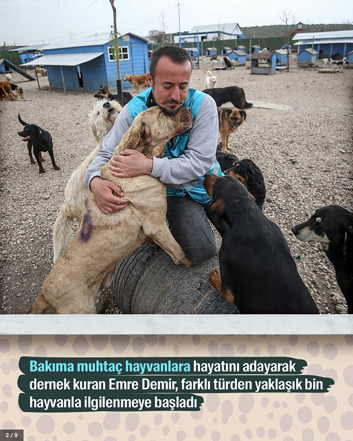 Bakıma muhtaç hayvanlara hayatını adayarak dernek kuran Emre Demir, farklı türden yaklaşık bin hayvanla ilgilenmeye başladı.