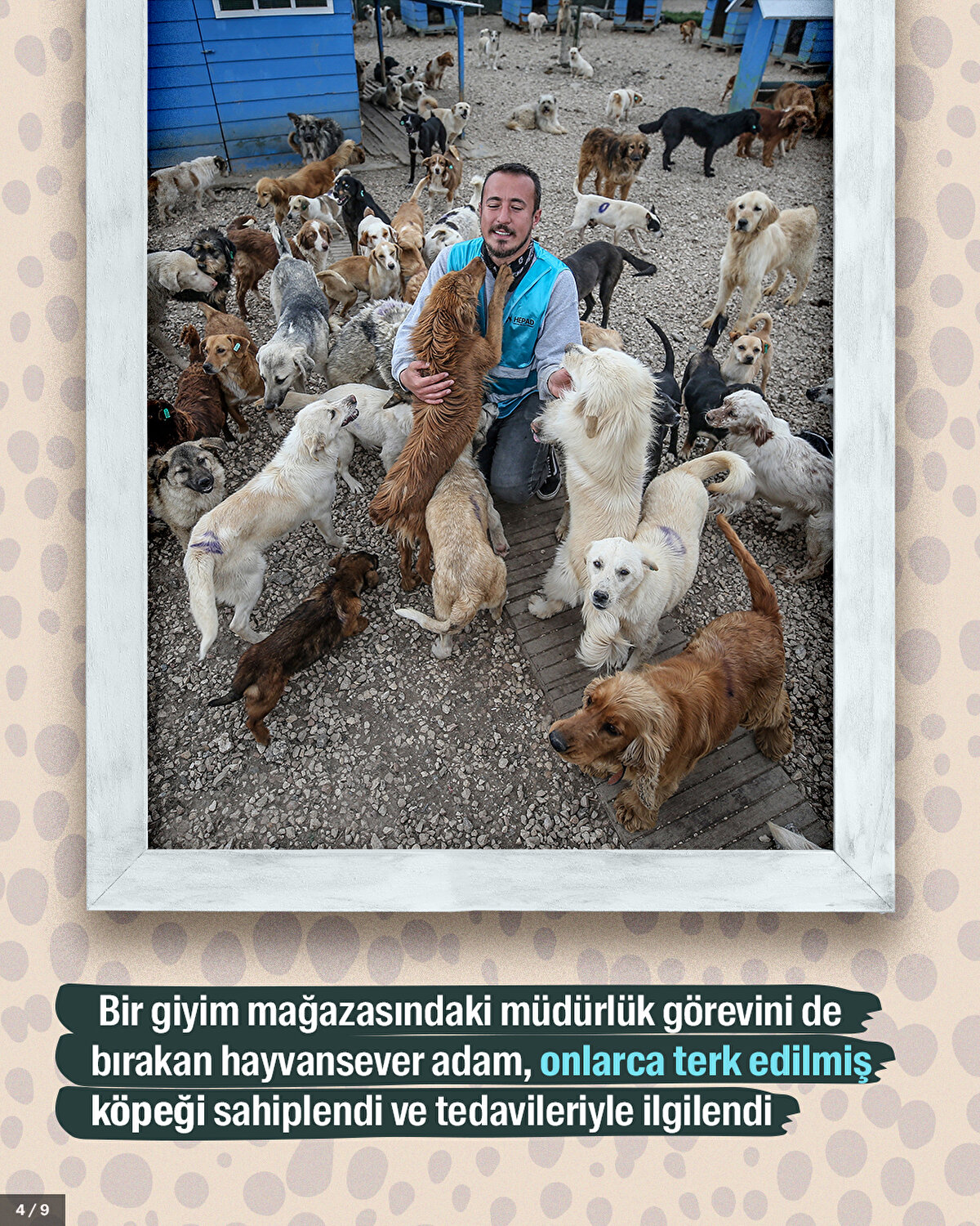 Bir giyim mağazasındaki müdürlük görevini de bırakan hayvansever adam, onlarca terk edilmiş köpeği sahiplendi ve tedavileriyle ilgilendi.