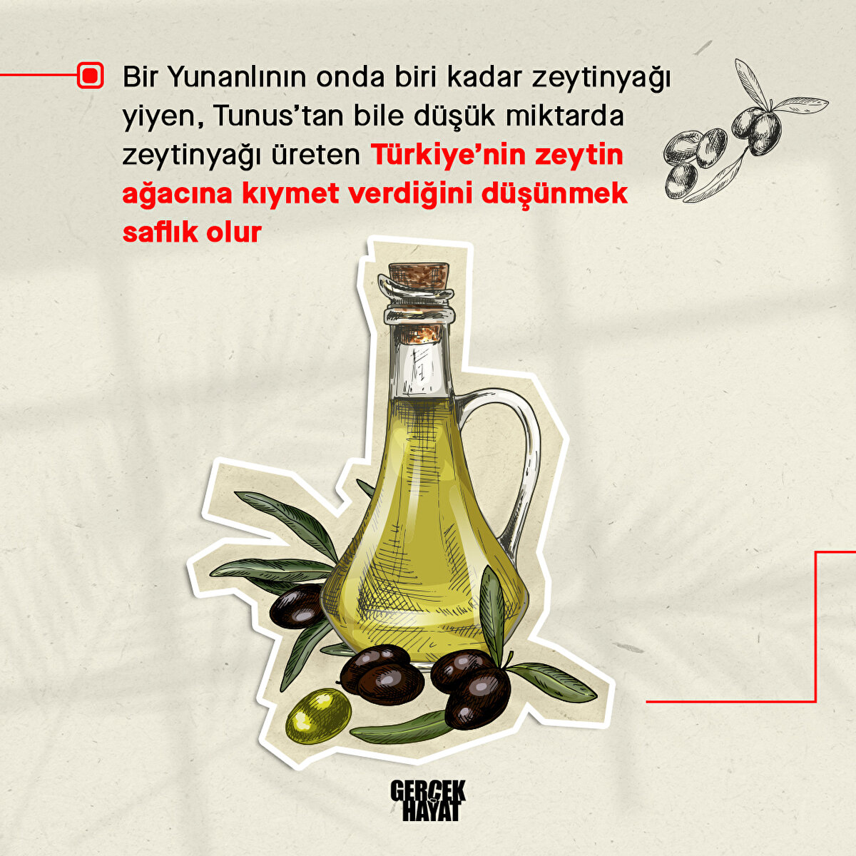 T&#252;rkiye’nin zeytin ağacına kıymet verdiğini d&#252;ş&#252;nmek saflık olur