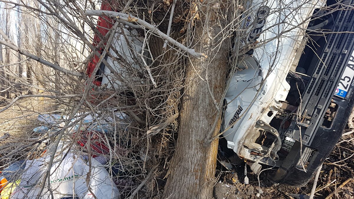 Ağaçlara çarpan kamyondaki sürücüyü kurtaran ekipler, anne, baba ve 2 çocuğunu da bölgeye yönlendirilen vinçle sıkıştıkları araçtan çıkardı.