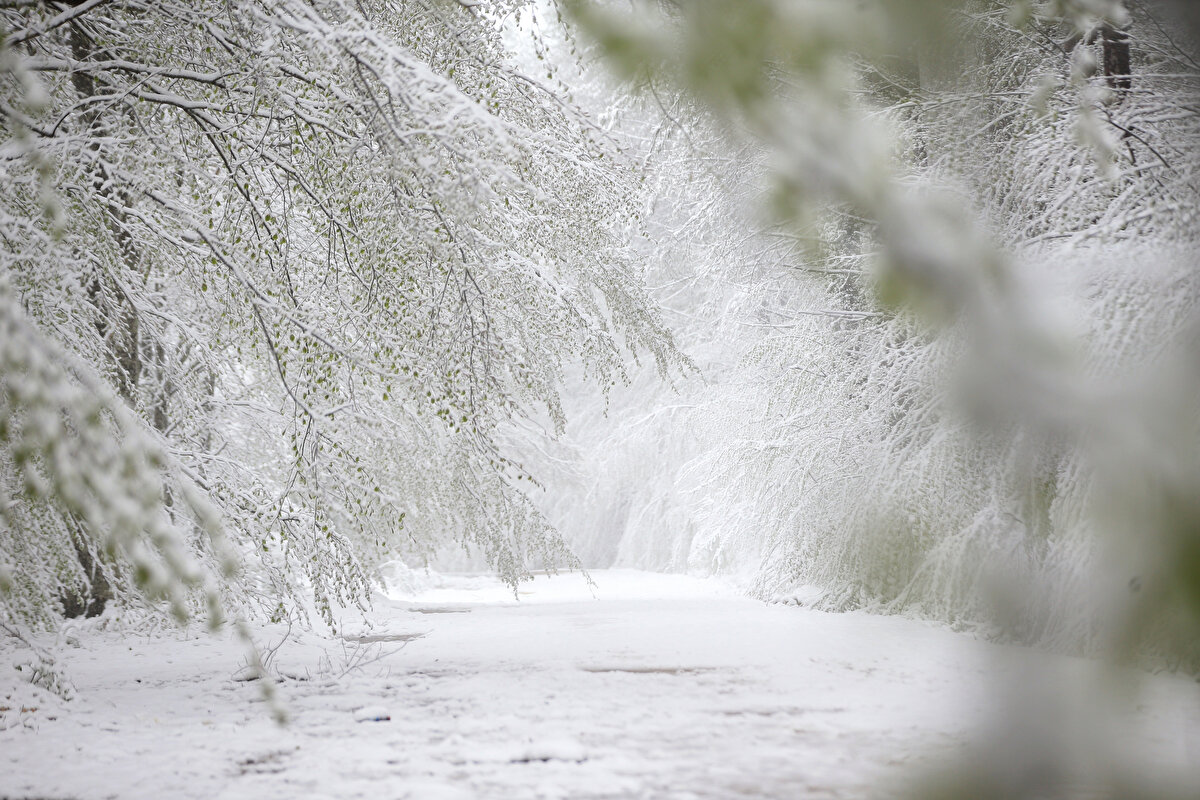 Hava sıcaklığının 6 derece ölçüldüğü kentte yağışın yarın akşama kadar aralıklarla etkili olması bekleniyor.<br><br>İlçelerde de sağanak aralıklarla etkili olmaya devam ediyor.