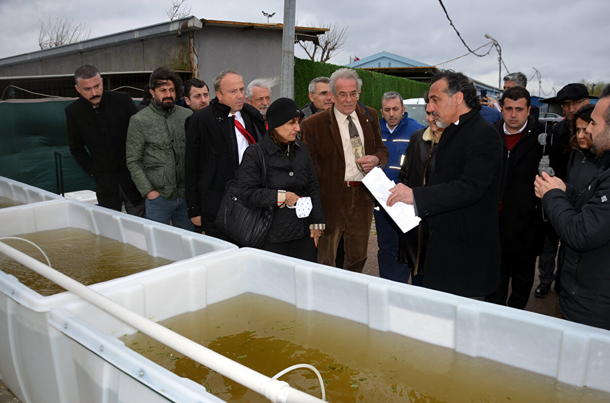 Avcılar Belediyesi Çevre Koruma Müdürlüğü'nde görevli Kılıç, Küçükçekmece Gölü'nün 1950-60'lı yıllarda insanların balık tutup avlandığı, su sporlarını yaptığı, yüzdüğü bir lagün olduğunu, çevresindeki yapılaşma ve sanayi atıklarının bırakılmasından dolayı çok kirlendiğini söyledi. <br><br>