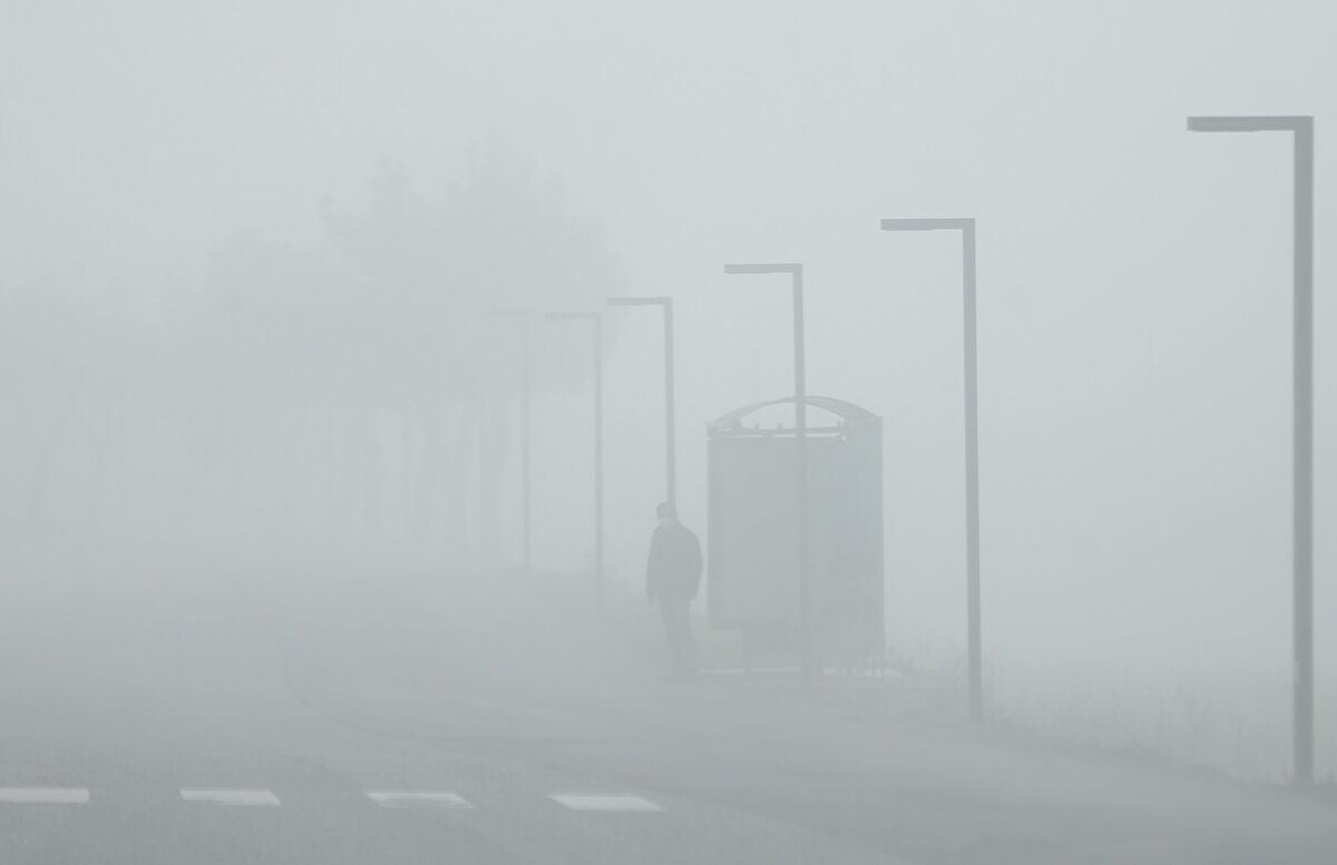 Hava sıcaklığının 7 derece ölçüldüğü kent merkezinde de sis zaman zaman etkisini gösterdi.<br>