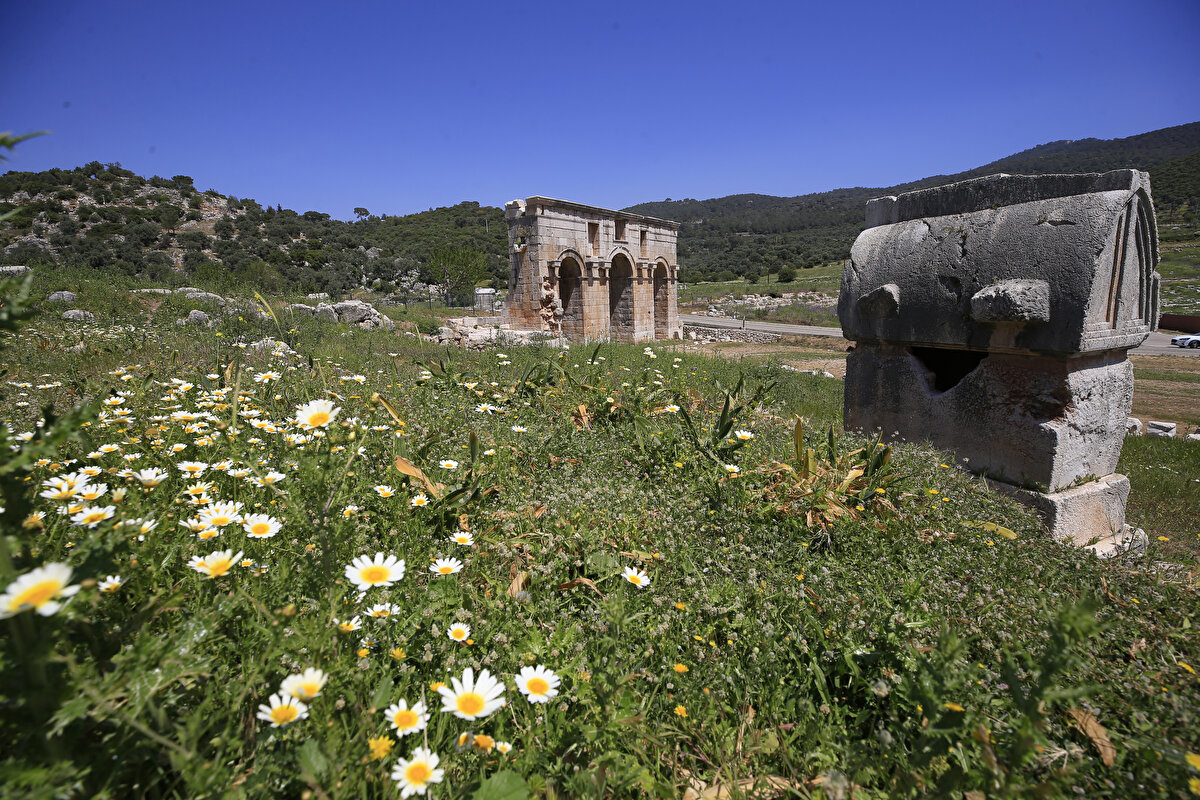 İlçede özellikle Patara Antik Kenti ve çevresinde, baharın gelmesiyle renk cümbüşü yaşanıyor.<br><br>
