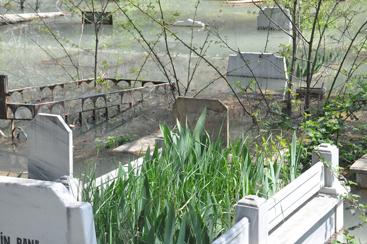 Vauk Dağı'ndan doğup Karadeniz'e dökülen ve geçtiği 160 kilometre boyunca derin vadilere hayat veren Harşit Çayı üzerinde enerji üreten Torul Barajı'nda su seviyesi yükseldi, taşkın meydana geldi. Çamlıca Mahallesi'ndeki mezarlıklar taşkın nedeniyle su altında kaldı. Mahalle halkı, ani taşkınlara karşı önlem alınmasını istedi.
