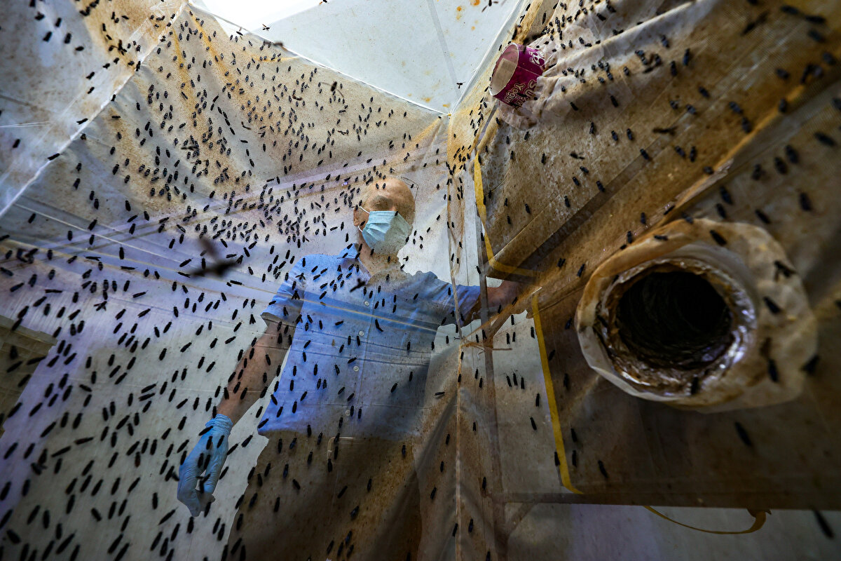 Çevreye zarar vermeyen, sürdürülebilir bir hammadde elde etmek için yola çıktıklarını kaydeden Çalıkoğlu, projelerinde sinek larvası kullanma kararı aldıklarını aktardı.