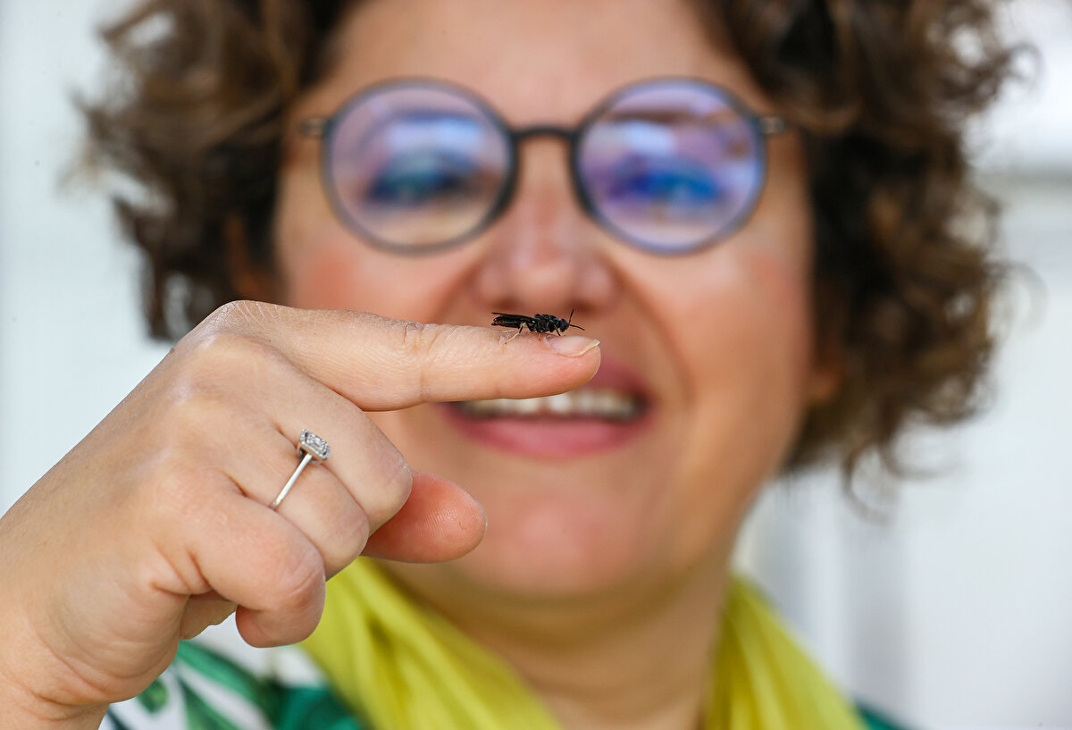 Yüksek protein değerine sahip yağın yanı sıra BSF'den ve atıklarından kaliteli gübre ile hayvan yemi de sağlandı. Çalıkoğlu, AA muhabirine, kozmetik sanayisinin uzun zamandır hammadde krizinde olduğunu, mevcut hammaddelerin hem çevreyi kirlettiğini hem de yüksek karbon ayak izi bıraktığını söyledi.