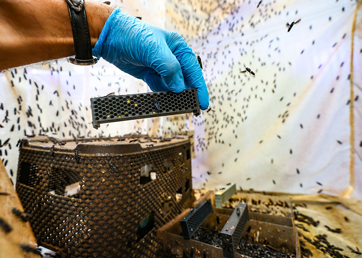 Yağdan deneme ürünü olarak sabun, losyon ve krem yaptıklarını ifade eden Çalıkoğlu, "Bizim denediğimiz bazı ürünlerimiz oldu, onların da nemlendirici özelliği oldukça belirgin, başarılı" dedi.<br><br>