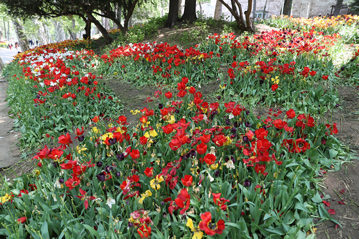 4 yıldır Gülhane Parkı'nda çalışan Peyzaj Mimarı Ayşe Hocaoğlu da, "Bayramda büyük bir yoğunluk vardı. Önceki senelerden daha fazla bir yoğunluk vardı. Bu yoğunluk biraz kontrolden çıktı. Fotoğraf çekmek ya da alıp götürmek için bir şekilde zarar verdiler. Şu an bu ezilen laleleri kaldırıyoruz, başka yapabileceğimiz bir şey yok" dedi.<br><br>