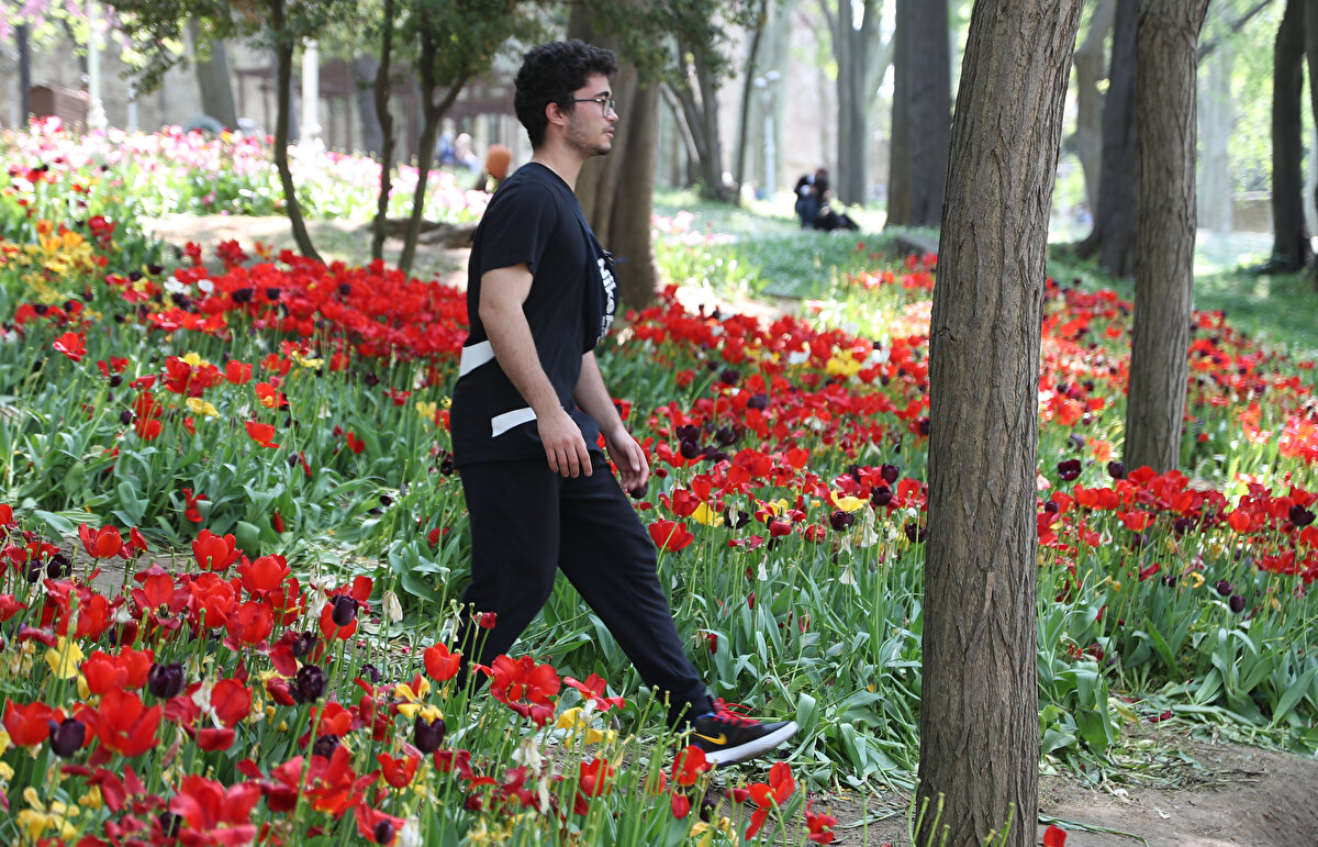 VATANDAŞLAR TEPKİ GÖSTERDİ: TABLO İÇLER ACISI<br><br>Gülhane Parkı'nı ziyarete gelen Varol Tekin, "Bu laleler çok güzeldi ama şimdi gördüm ve içim acıdı. Bunları yapana insan demeye bin şahit lazım. Bu tablo utanç verici" dedi.