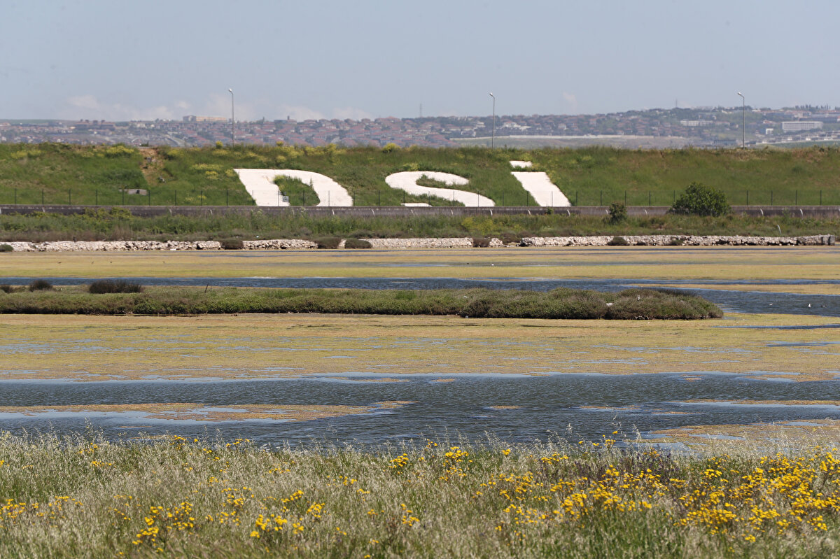 Hem su yüzeyinde hem de dipte görülen yosunlara ilişkin İstanbul Üniversitesi Su Bilimleri Fakültesi Öğretim Üyesi Prof. Dr. Meriç Albay, açıklamalarda bulundu. <br><br>