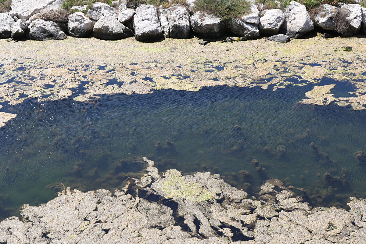 Kışın bu durumun yaşanmayacağını dile getiren Prof. Dr. Albay, alınacak önlemlerle ilgili şunları söyledi:<br><br>“İlkbaharla beraber metabolizma hızlandı, bakteriyel parçalanma çok hızlandığı için ekolojik metabolizmayı hızlandırmış oluyoruz. Su seviyesi düştükçe de bunlarla karşı karşıya kalabiliriz. Terkos gibi, Büyükçekmece Gölü gibi yerlere beton yığınları yapmamak lazım. İstanbul'un suyu artık Melen'den Trakya'dan geliyor. Hala bina yapmaya devam ediyoruz, bunları yaptıkça maalesef bu sıkıntılarla karşı karşıya kalmaya devam edeceğiz."