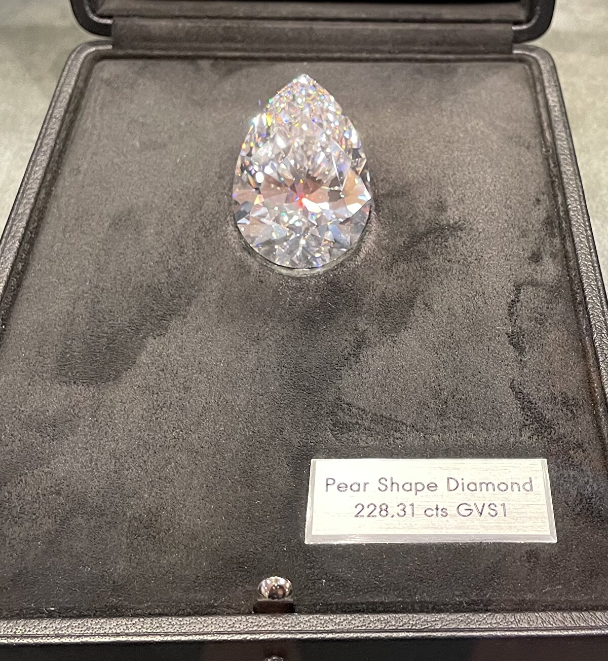 Müzayede evi Christie's tarafından Cenevre'deki Four Seasons Hotel'de düzenlenen satışta iş insanları ve koleksiyoncular, elması almak için fiyat tekliflerini yarıştırdı.