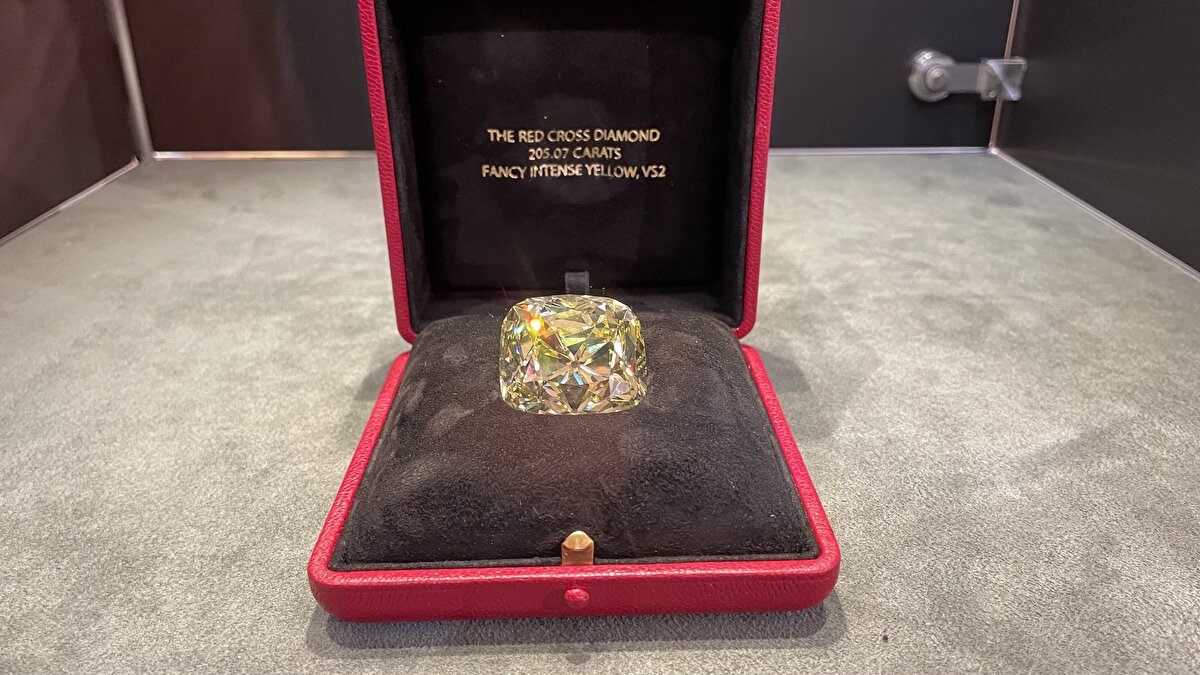 26'ncı sırada açık artırmaya sunulan Kaya, 18 milyon 600 bin İsviçre frangına satıldı.<br>