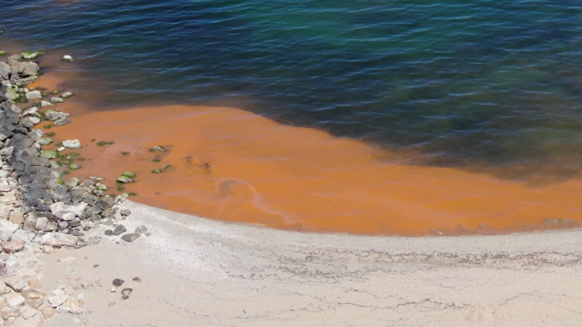 Çevre Denetim Daire Başkanı Barış Ecevit Akgün, analizler sonucunda renk değişiminin nedenini açıklayacaklarını belirtti.<br>