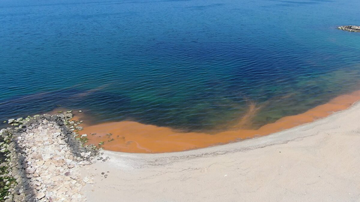 Akgün, "Denizden aldığımız numunelerin müsilaj, alg patlaması veya polen kaynaklı bir renk değişimi olup olmadığına ilişkin gerekli analizlerin yapılmasını sağlayacağız. Geçtiğimiz yıl görmüş olduğumuz müsilaj etken bakterisine benzemiyor. Polen veya alg patlamasından kaynaklı olabilir'' dedi.<br><br>