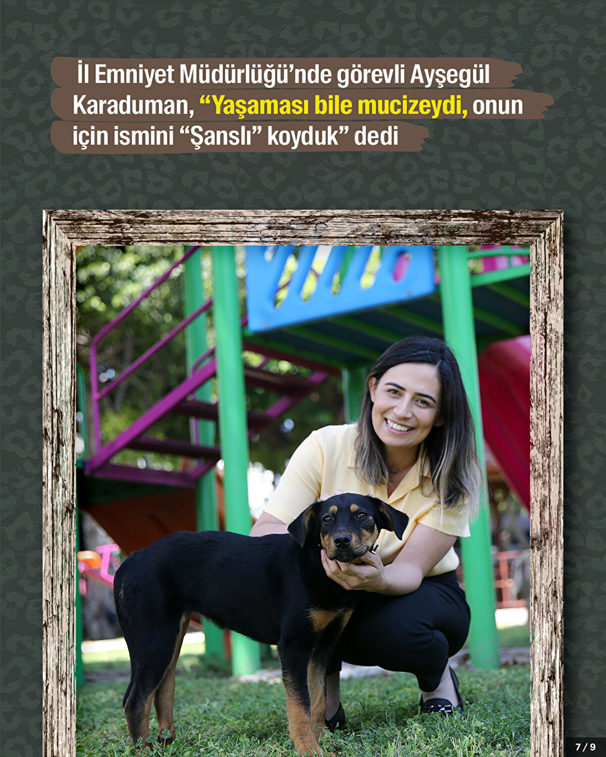 İl Emniyet Müdürlüğü’nde görevli Ayşegül Karaduman, “Yaşaması bile mucizeydi, onun için ismini “Şanslı” koyduk” dedi.<br>