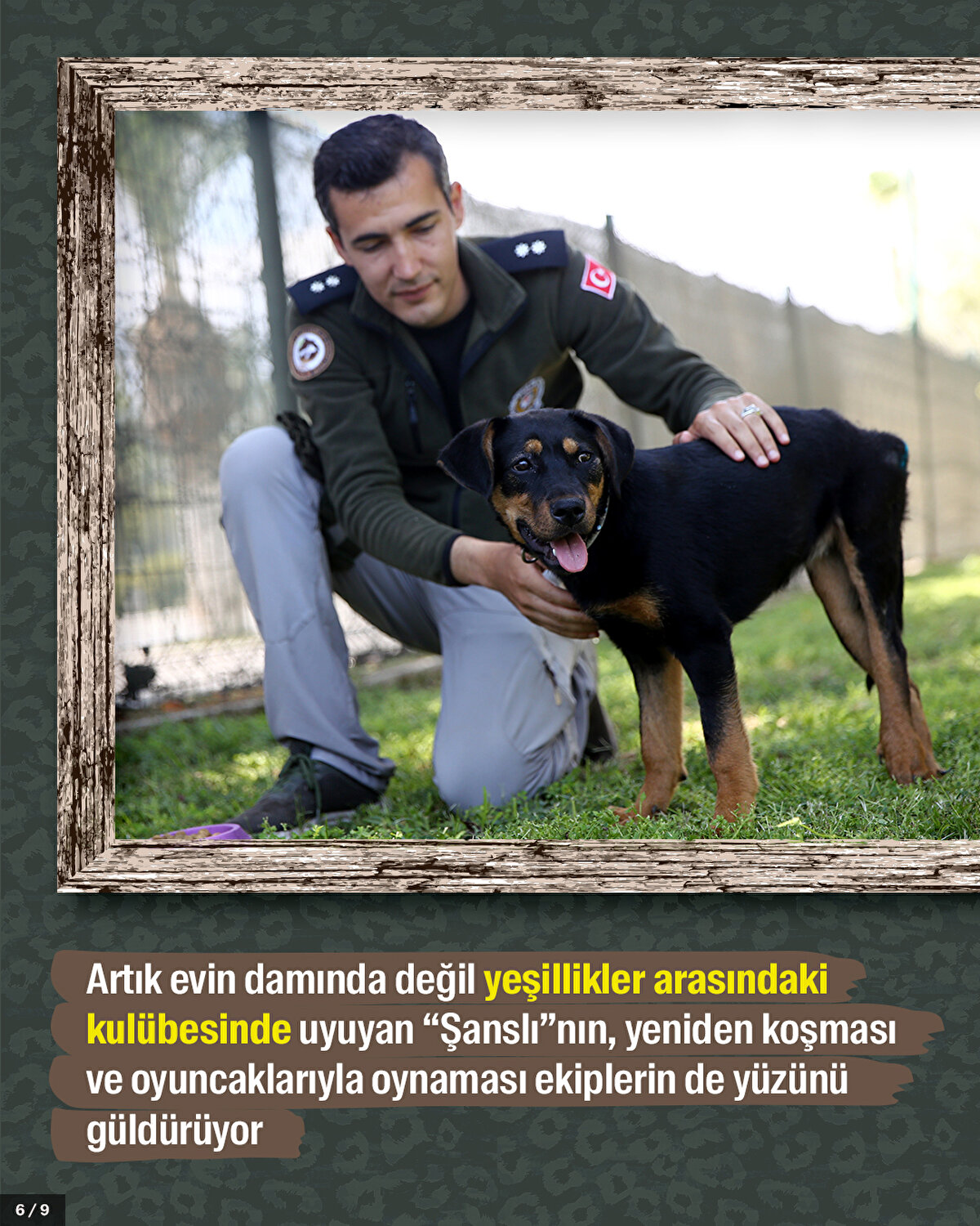 Artık evin damında değil yeşillikler arasındaki kulübesinde uyuyan “Şanslı”nın, yeniden koşması ve oyuncaklarıyla oynaması ekiplerin de yüzünü güldürüyor.