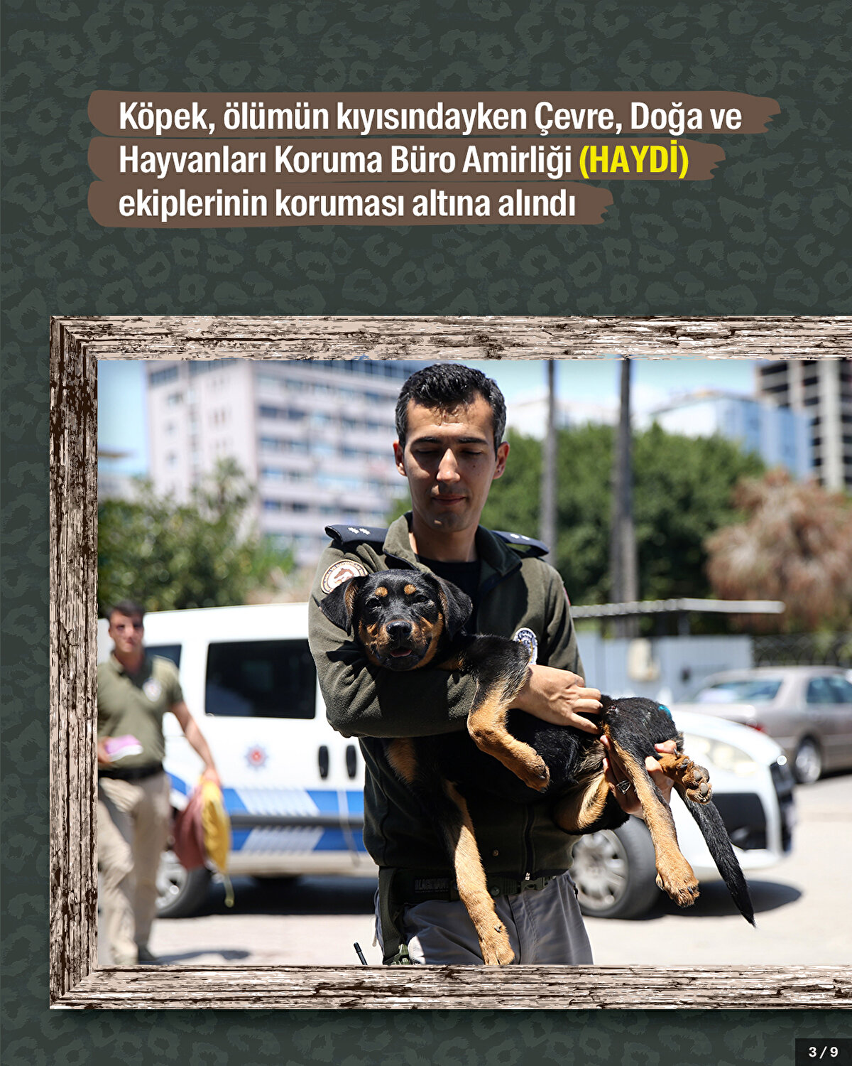 Köpek, ölümün kıyısındayken Çevre, Doğa ve Hayvanları Koruma Büro Amirliği (HAYDİ) ekiplerinin koruması altına alındı.